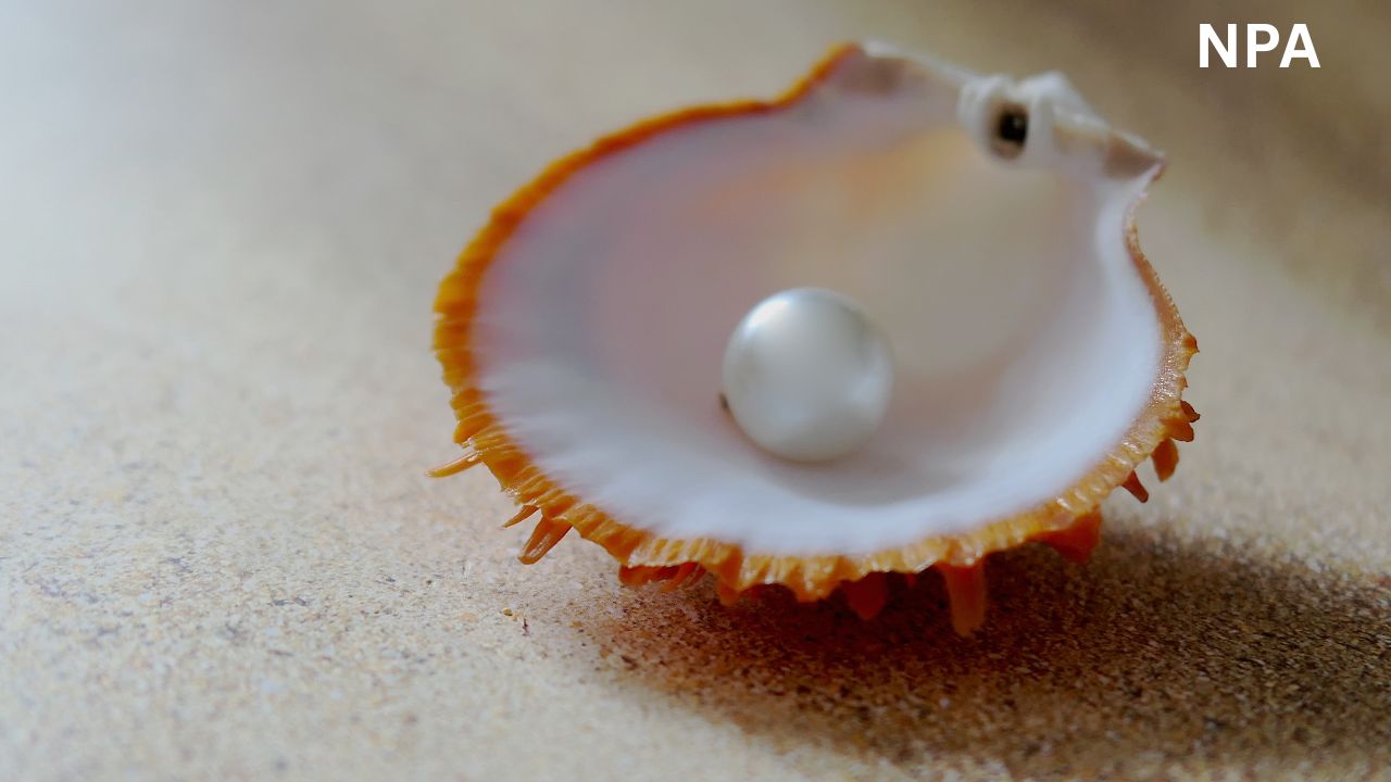 Hazaribagh Pearl Farming Cluster